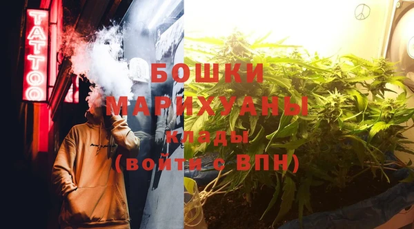 стаф Кулебаки