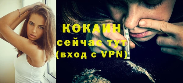стаф Кулебаки